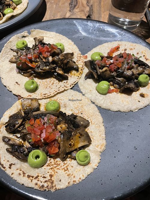 Delicious mushroom tacos  at Waah in Bacalar
