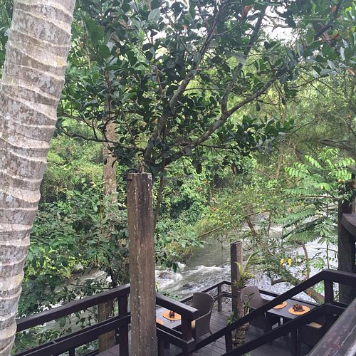 beautiful view of the river from the cafe at Sakti Dining Room in Mambal