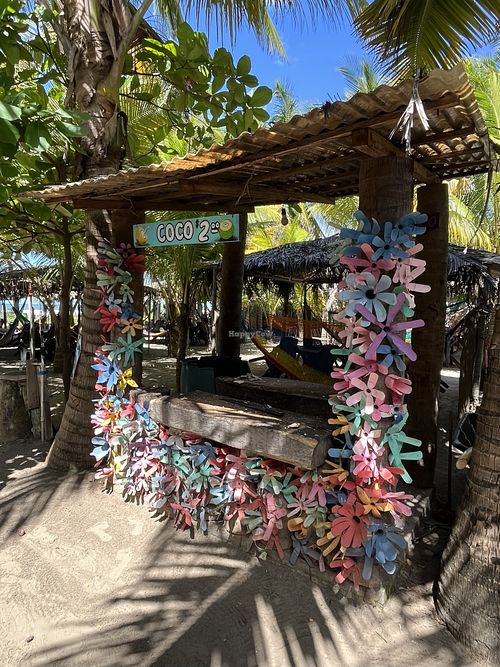   at La Tortuga Verde in Intipuca