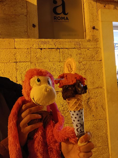 Many vegan options at aROMA Gelato in Rovinj