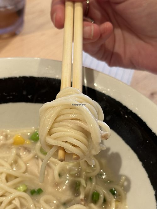 Hand made noodles   at Nishiki Ramen in Plano