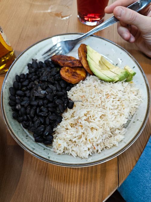 Pabellon Vegan at Mixtura Latina in Vienna