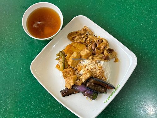 economic rice with brinjal and curry vegetables and peanuts at 21 Healthy Vegetarian - 健康素食 in Central Singapore