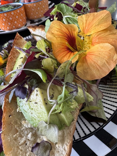   at Cafe Mi Amor in Hot Springs