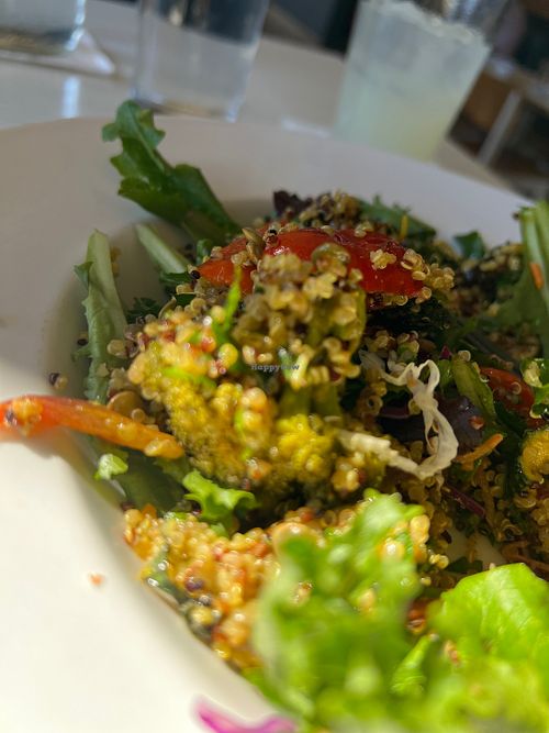 Organic tricolor, quinoa salad  at Hungry's in Houston