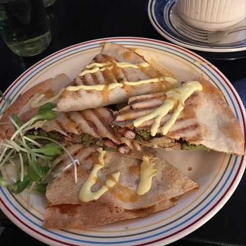 Quesadillas at Whyld Ass in Flagstaff