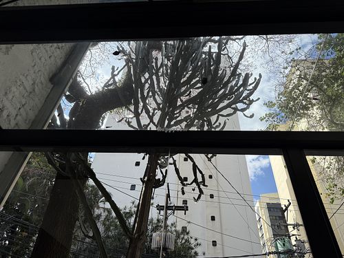   at Tau Cozinha in Sao Paulo