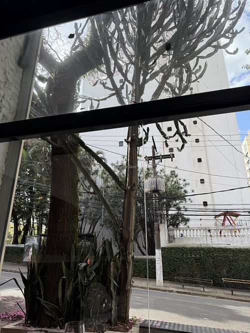   at Tau Cozinha in Sao Paulo