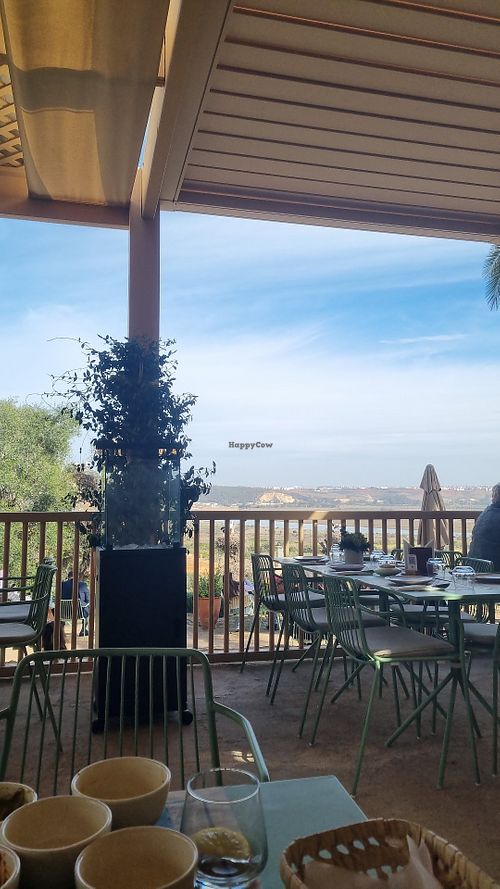  at Ciconia Chellah in Rabat