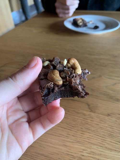 Brownie  at Skistua in Trondheim
