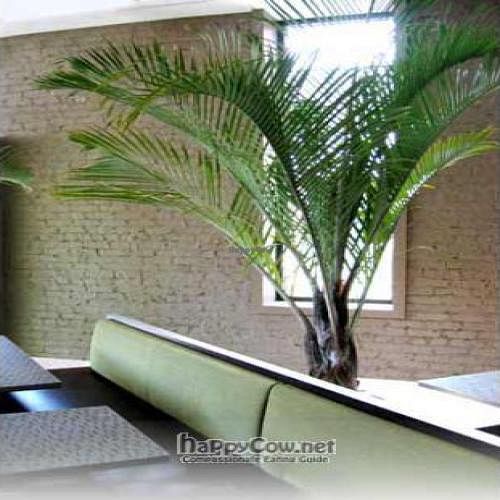 inside - small, tables close together at Green Zebra in Chicago