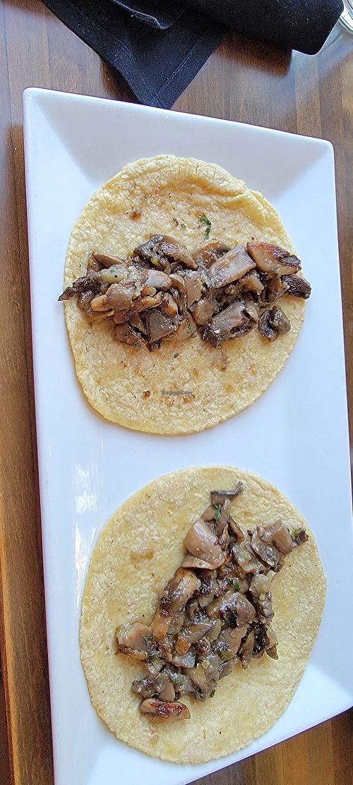 Mushroom tacos at Maize Mexican Grill - The Station in Champaign