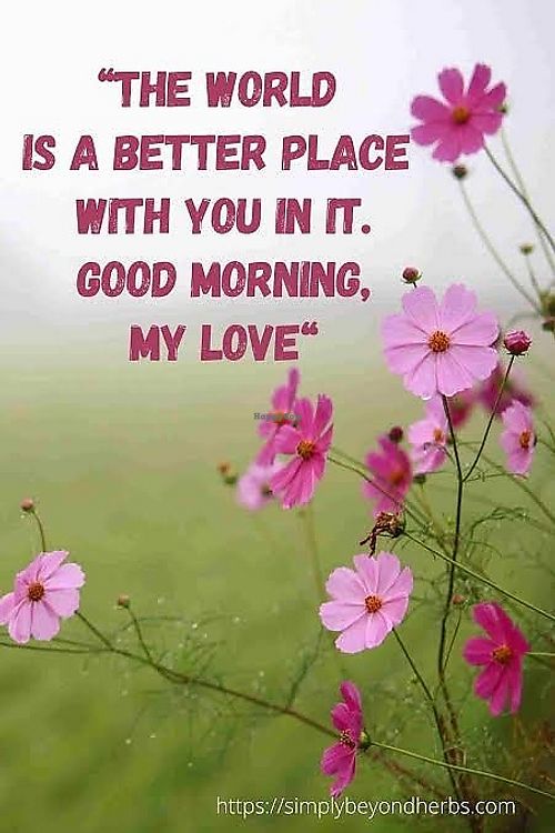  at Curry Queen Tandoori Restaurant in Hampton