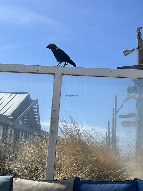   at TIJN in Zandvoort