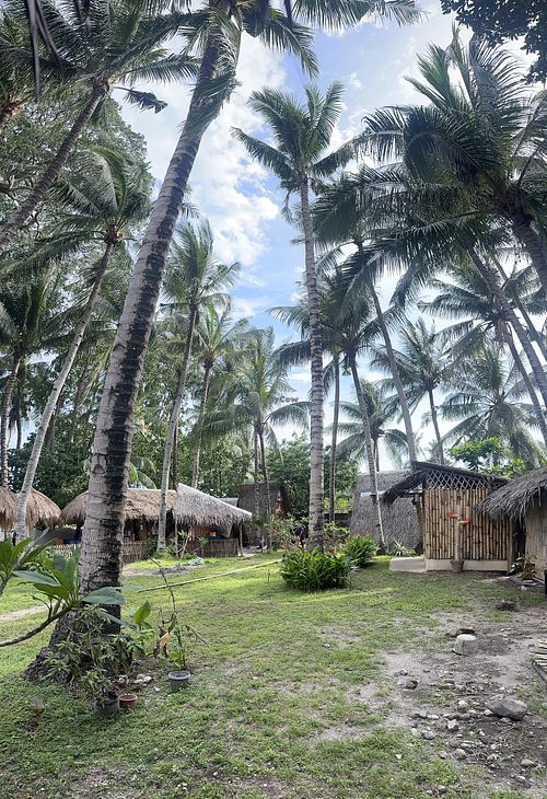 Connected to Dive Camp  at OMUS vegan @Dive Camp in Dauin