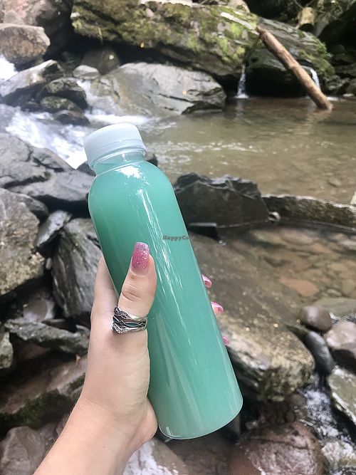 blue lemonade 💙 at Nourish Juice Bar in Red Hook