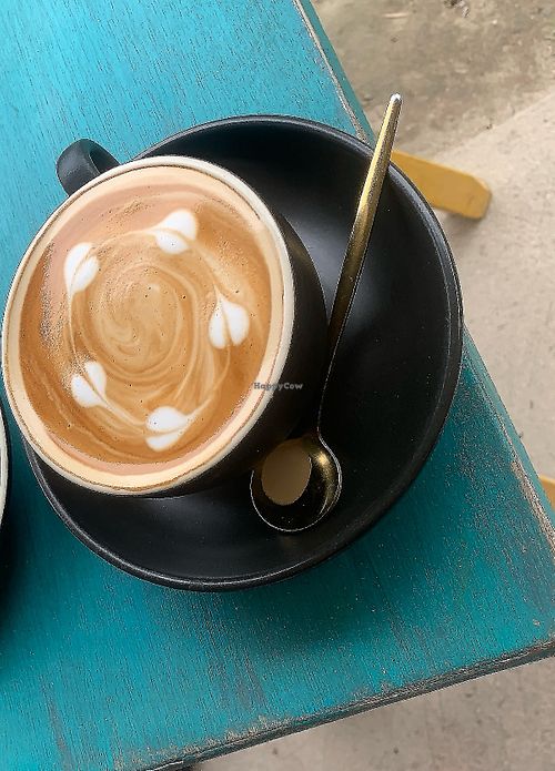 Brownie (not vegan)   at Love Coco Cafe in Siargao