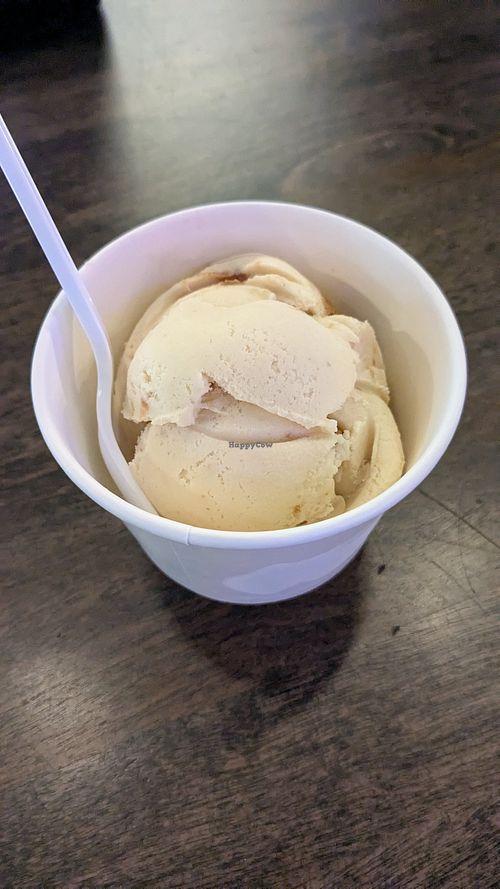 Vegan Ice Cream at Block 40 Food Hall in Hollywood