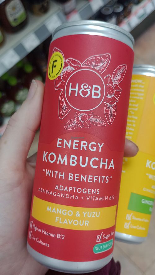 Kombucha at Holland & Barrett in Kendal
