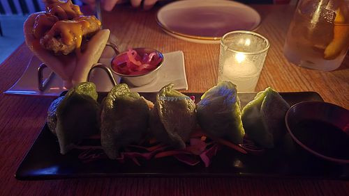 Dumplings at Spicy Moon - Chelsea in New York City