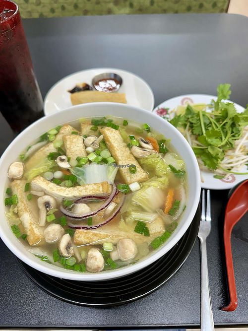 Veggie Pho with added tofu and house made vegan broth !  at Pho Ever And More in Searcy