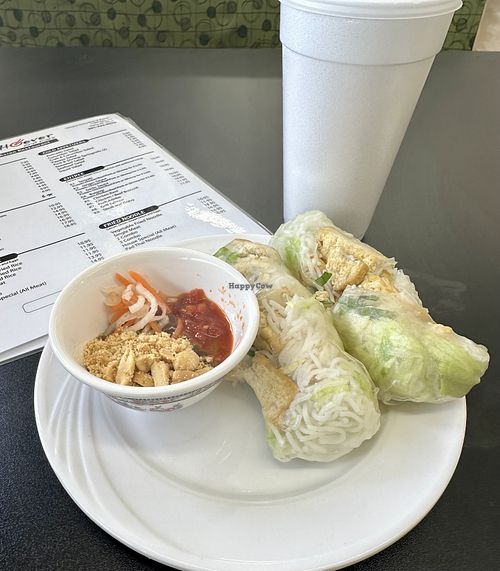 Fresh Rolls with added tofu.  at Pho Ever And More in Searcy