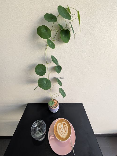 Coffee at Levend Coffee and Craft Cocoa in Udon Thani