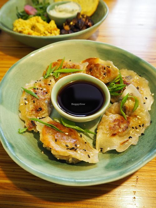 Gyozas at Cafe Ukrop II in St Petersburg