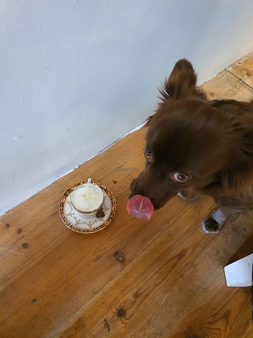  at The SugarPlum Tearoom in Ruthin