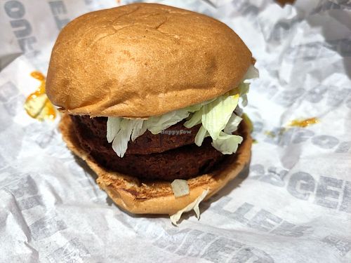 Vegan burger (double) at Bioburger in Orleans