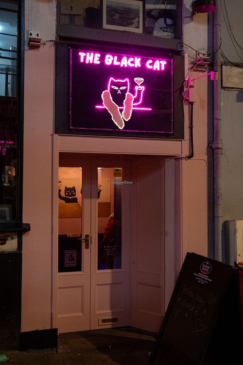  at The Black Cat in Falmouth