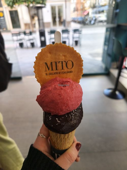 Dark chocolate and raspberry at Gelateria MITO in Sevilla