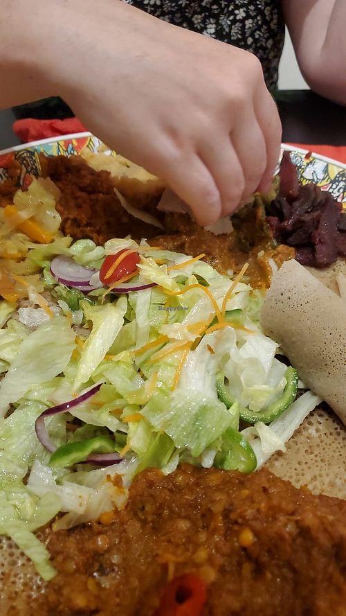  at Sefed in Montpellier