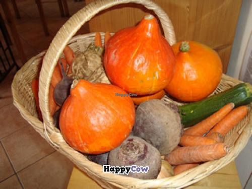 the ingredients of our food at Cafe Kuchen in Berlin