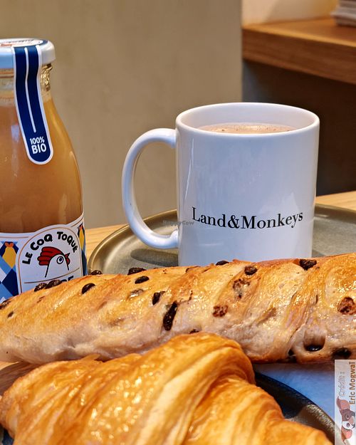 Image of Land & Monkeys - Montmartre