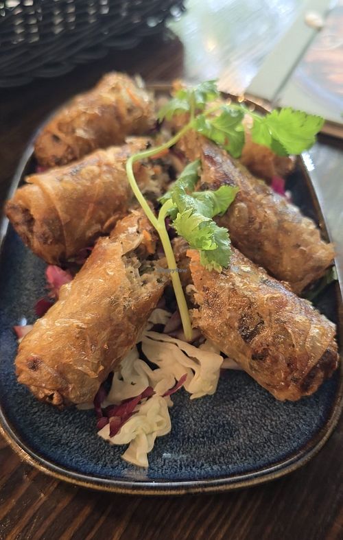 Vegan Friend Spring Rolls at Metta Vegan in Warsaw