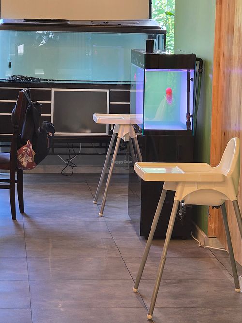 Fish tanks at a vegan reataurant? at Metta Vegan in Warsaw