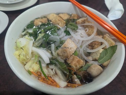 Pho Chay with tofu, steamed napa cabbage, carrots, and mushrooms at Pho Saigon  in Fredericksburg