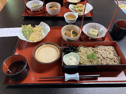 Only choice but so good! at Takao-san Yakuo-in in Hachioji