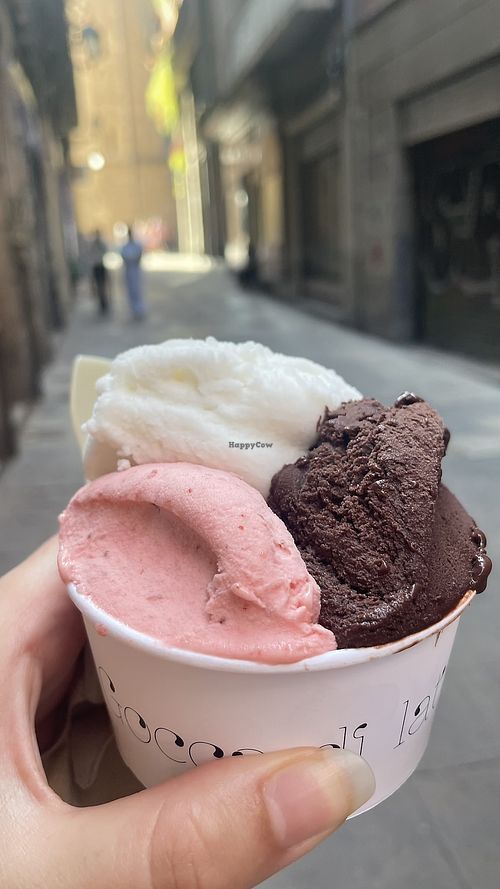   at Gocce di Latte Vegana in Barcelona