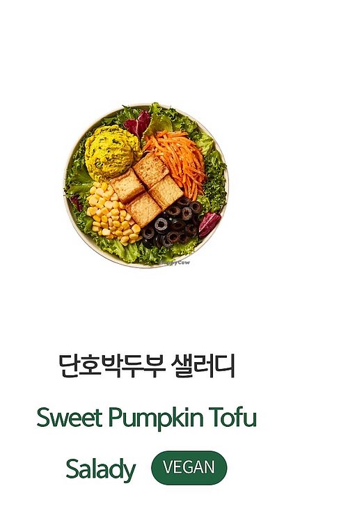 Salad bowl  at Salady - 샐러디 수원장안구청점 in Suwon