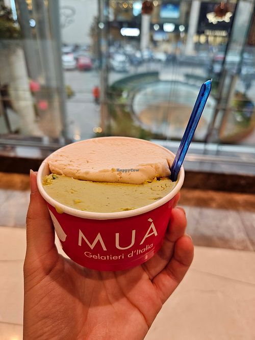 Pistachios and salted peanuts flavored icecream at Muà in Izmir