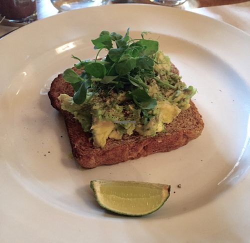 avo toast at Wild Thyme in Norwich