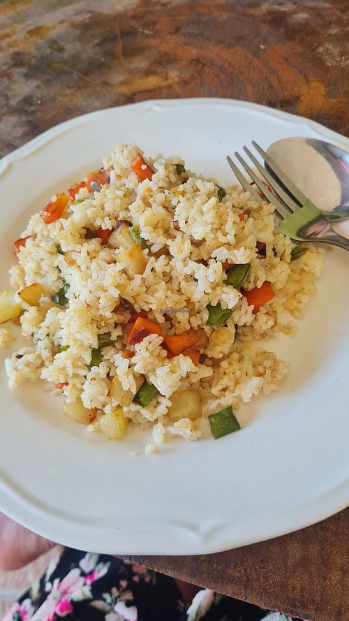 Fried rice with vegetables (I told them without meet and without eggs just to be sure it's vegan) at Guanna's Place Restaurant in Malapascua Island