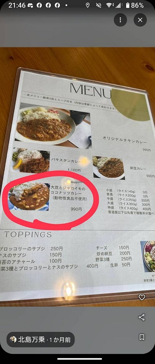 vegan curry on the Japanese menu at Narisawa Curry - ナリサワカレー in Chitose