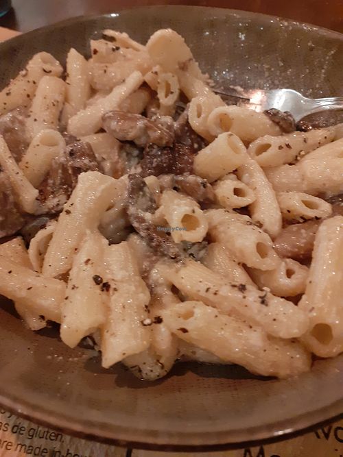 Vegan mushroom maccaronetti at Pasta y Pasta  in Albir