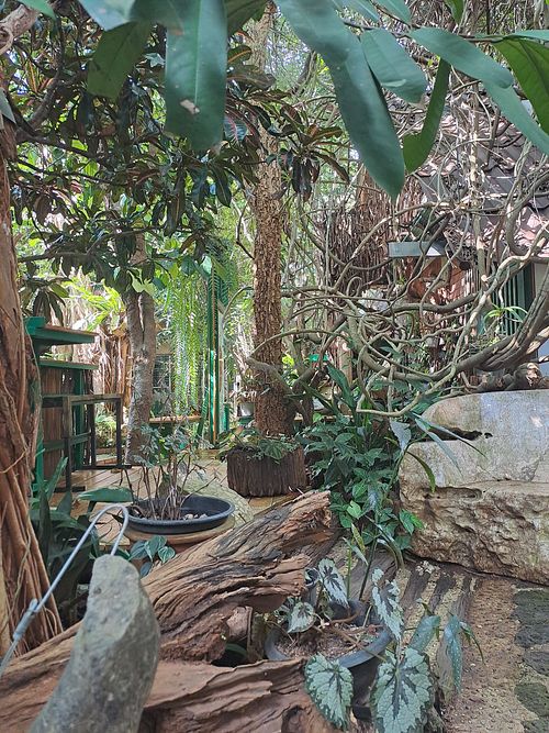 Outdoor sitting at Begonia Cafe - ร้านอาหาร หัวหลักหัวตอ in Chiang Mai