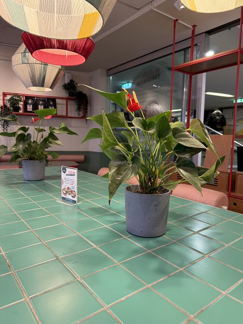 inside  at Kaspar Schmauser  in Berlin