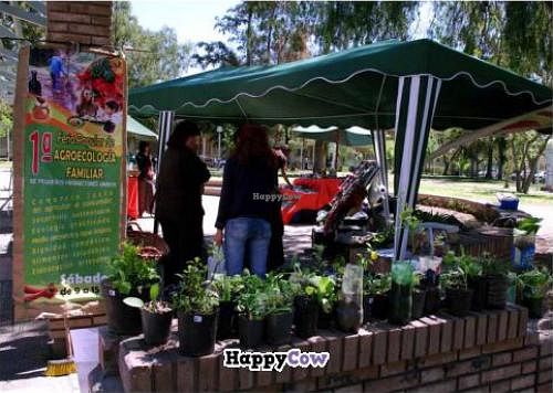 Bioferia Mendoza. at Bioferia in Mendoza