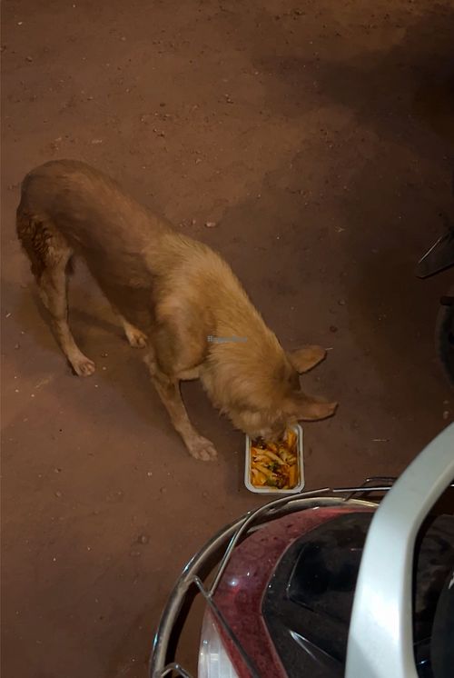   at La Cucina in Morjim